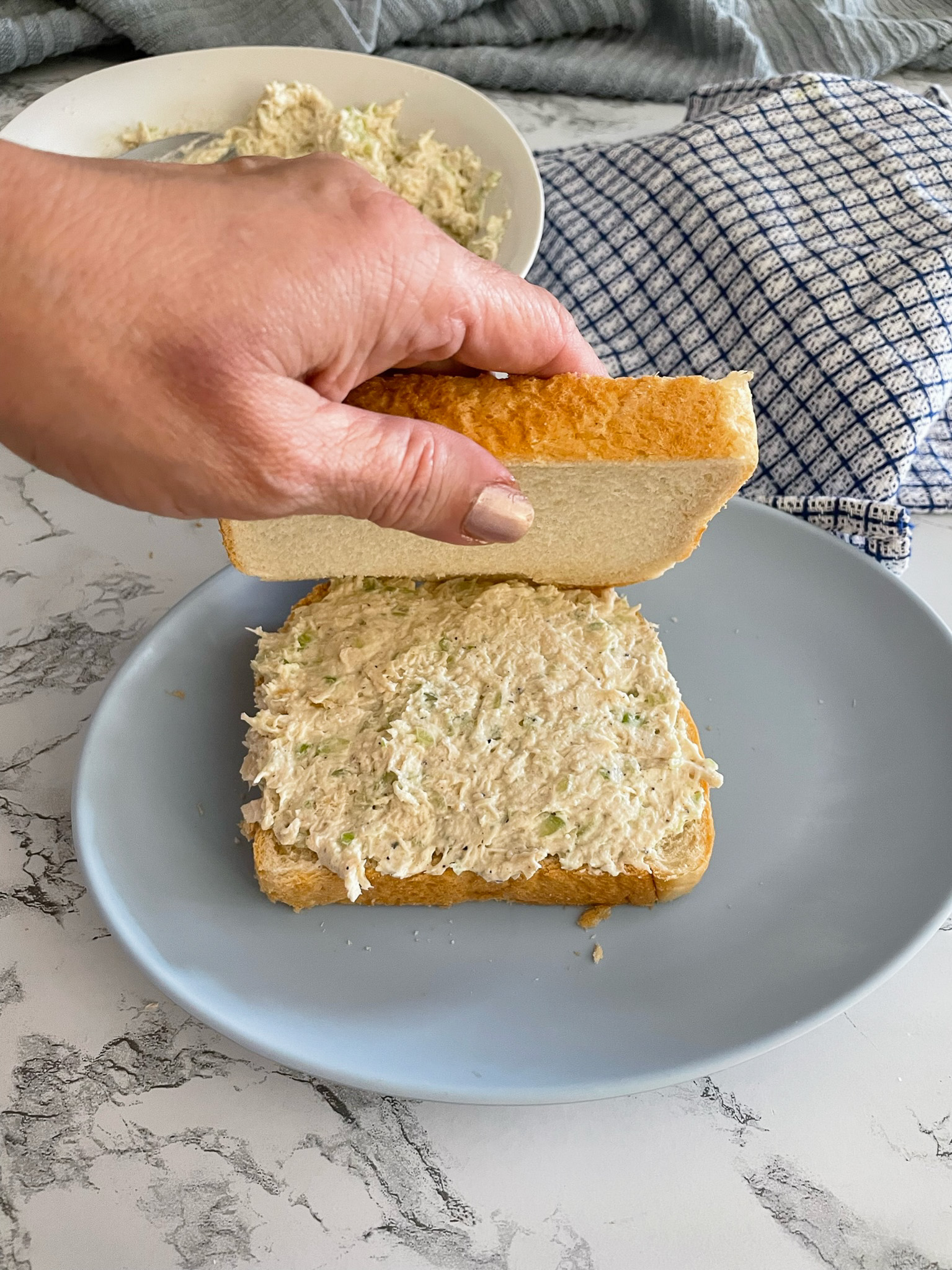 Chicken spread sandwich